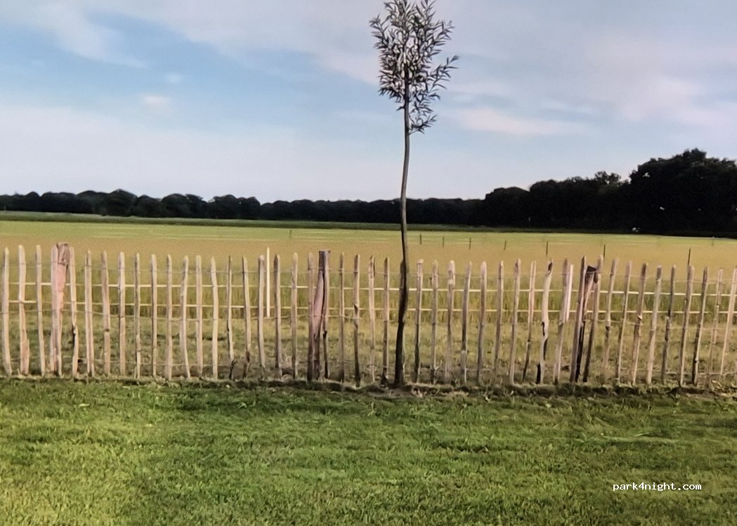 Camperplaats bij d'n Bor — foto 3