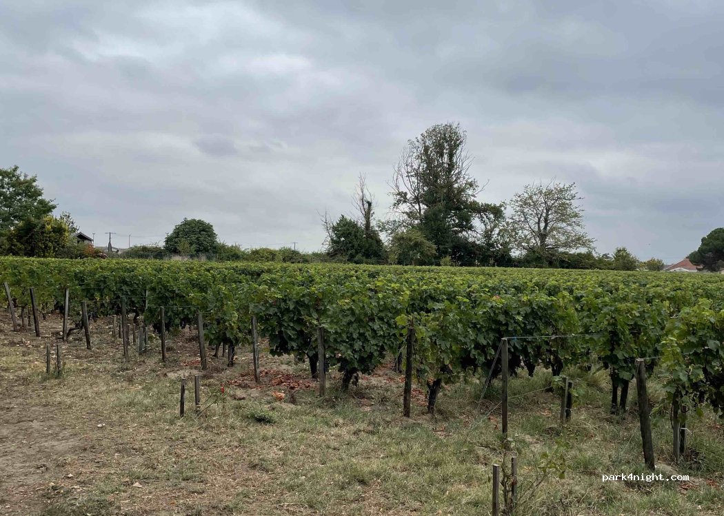 Château d'Osmond — foto