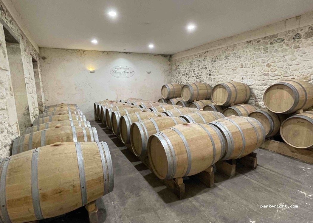 Château d'Osmond — foto 2