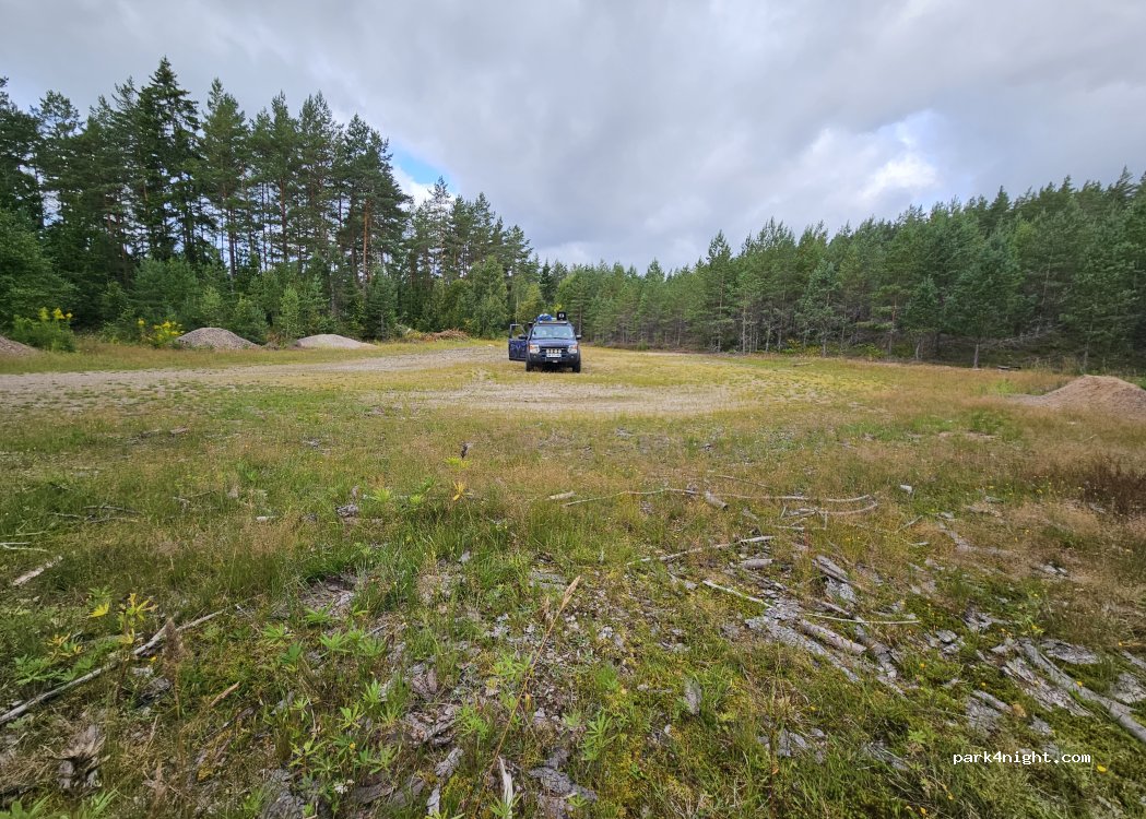 (598 98) Mariannelund - F 919 — foto