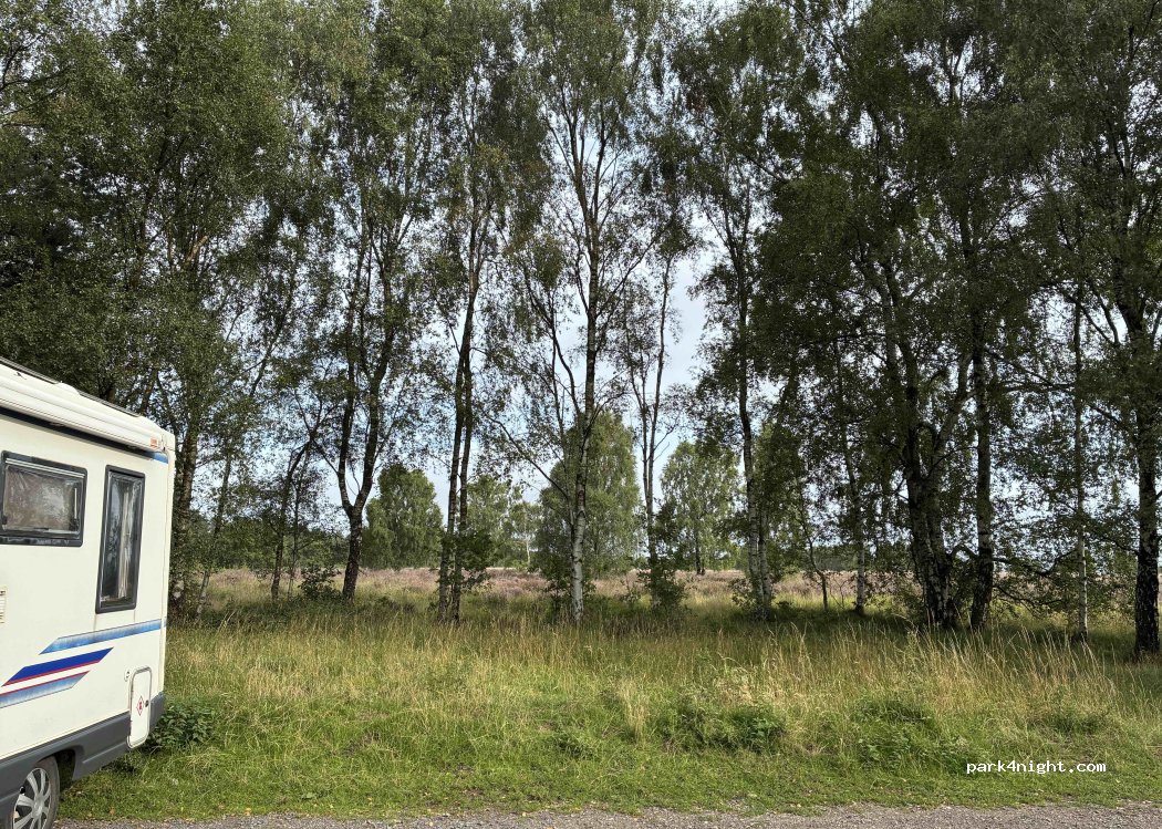 (WS12 4LF) Cannock Chase - Camp Road — foto