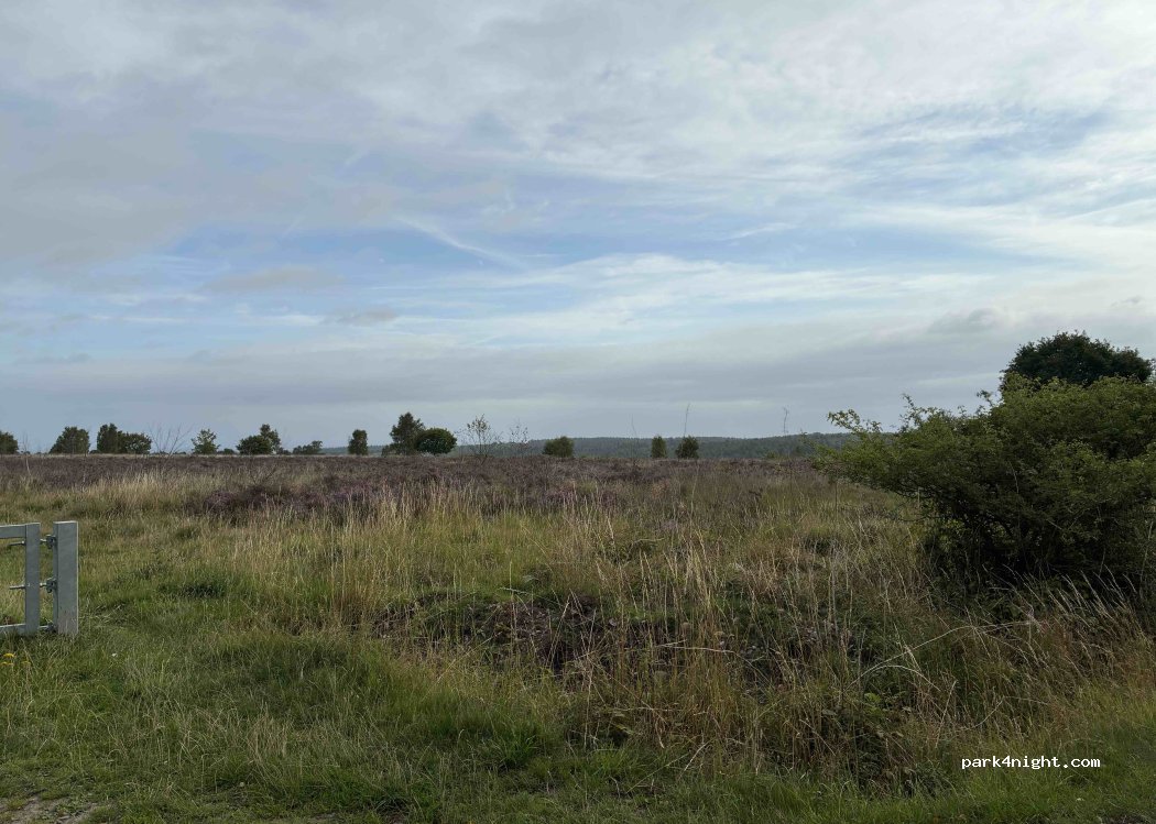 (WS12 4LF) Cannock Chase - Camp Road — foto 2