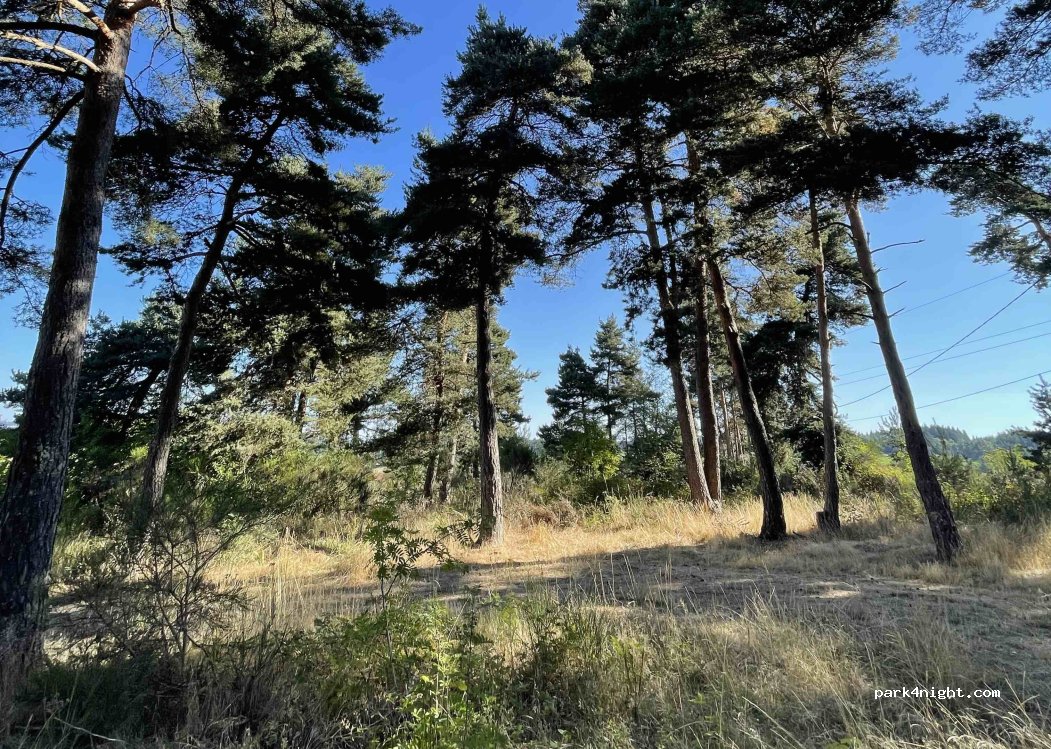 (43120) La Chapelle-d'Aurec - Route des Pins — foto