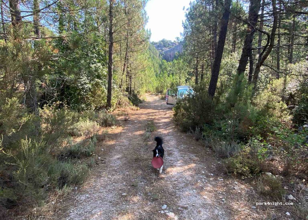 (20170) San-Gavino-di-Carbini - D 368 — foto 2