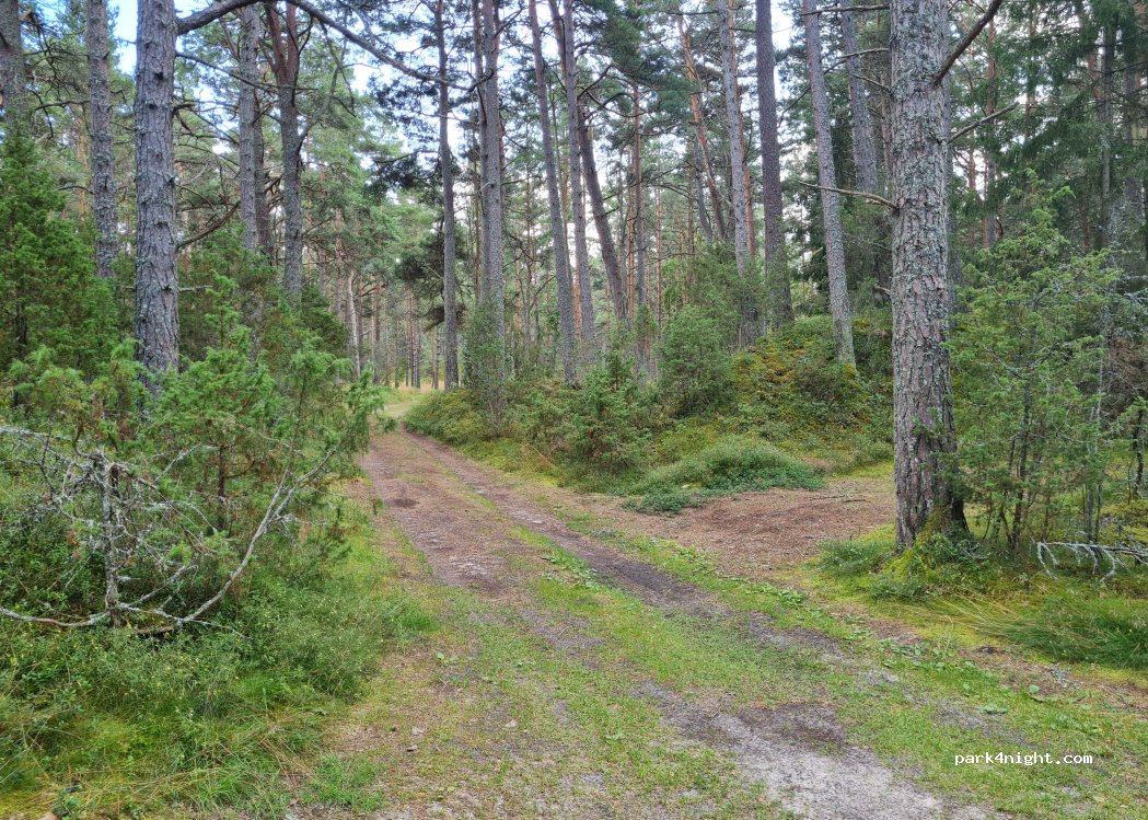 (LV-3264) Miķeļtornis - beach walk — foto