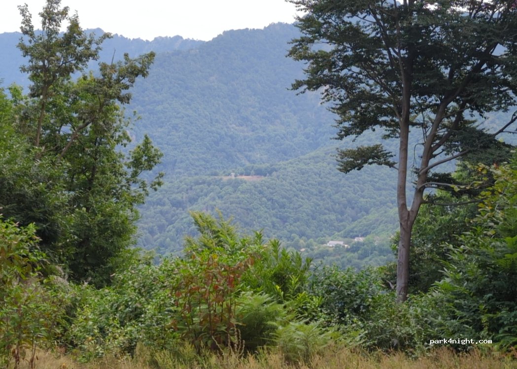 (10040V) Giaveno - — foto