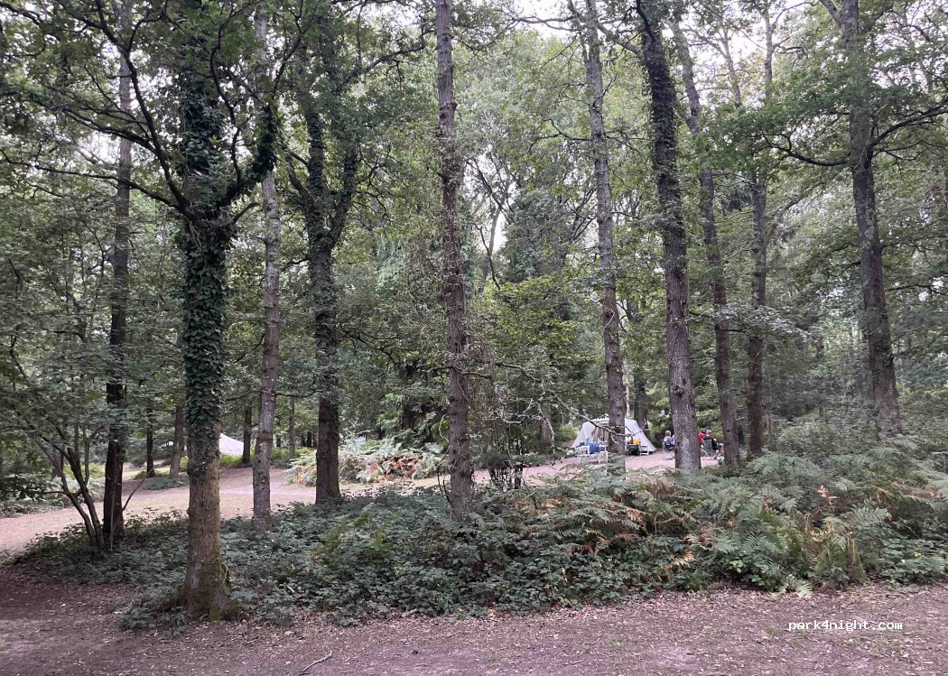 Fox Wood Campsite — foto 2