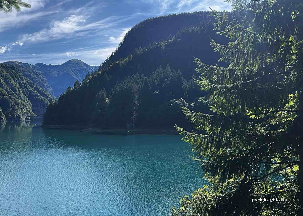 (33021) Ampezzo - Strada del Monte Pura — foto