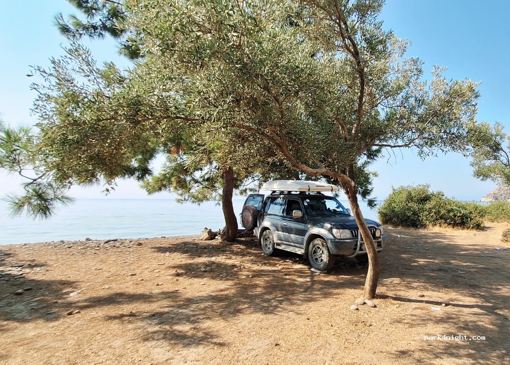 (48220) Çökertme - — foto 2