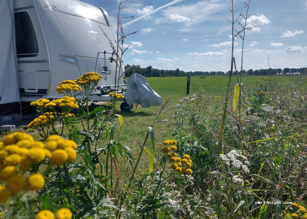 Camping Het Bruchterveld — foto 5