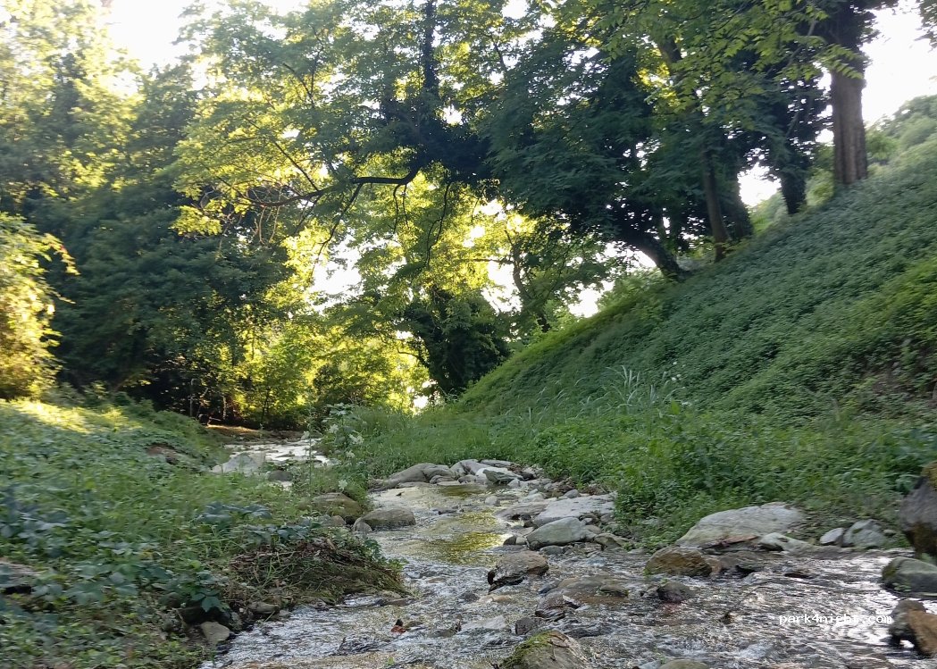 (54038) Montignoso - Via Fondaccio — foto 2