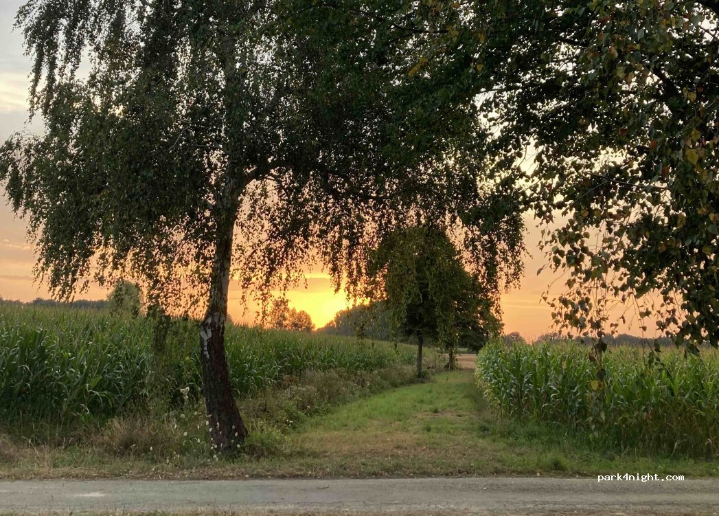(31580) Villeneuve-Lécussan - — foto