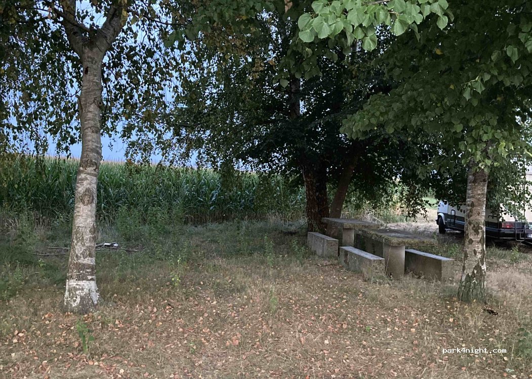 (31580) Villeneuve-Lécussan - — foto 2