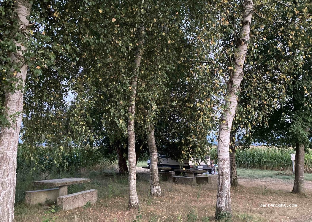 (31580) Villeneuve-Lécussan - — foto 3