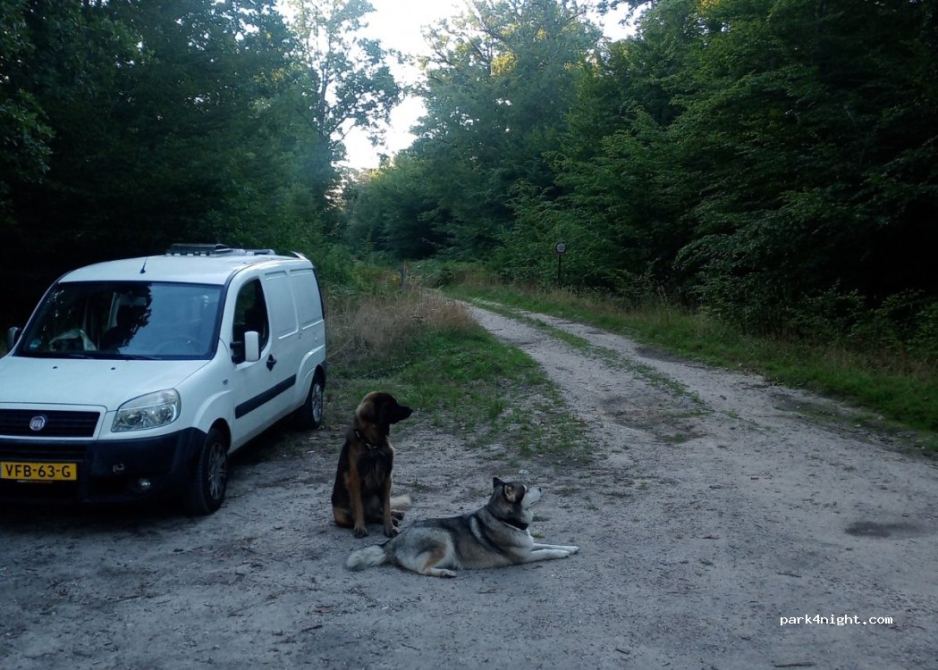 (45460) Les Bordes - Route des Trois Souchons — foto