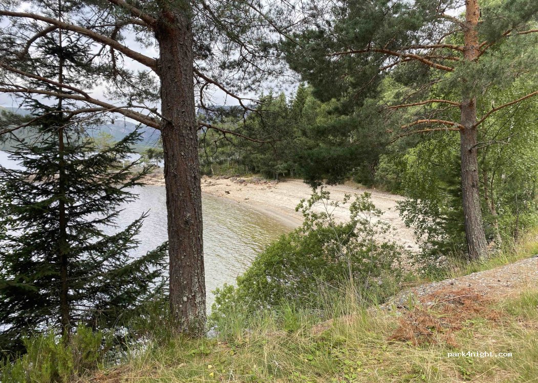 (3870) Fyresdal - Fyresdalsvegen — foto