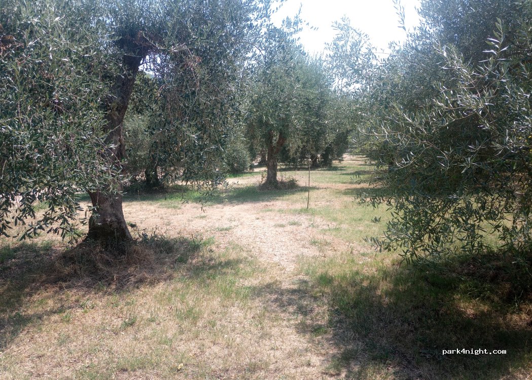 () Cori - Via Pezze di Ninfa — foto