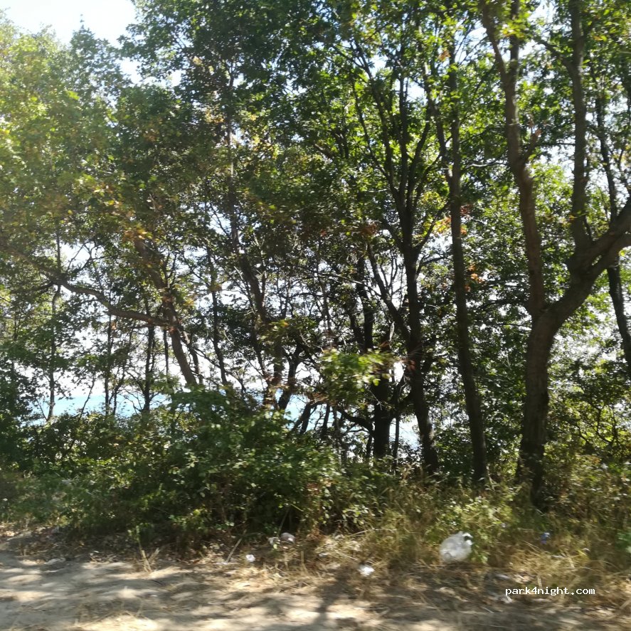 (9112) Shkorpilovtsi - Unnamed Road — foto