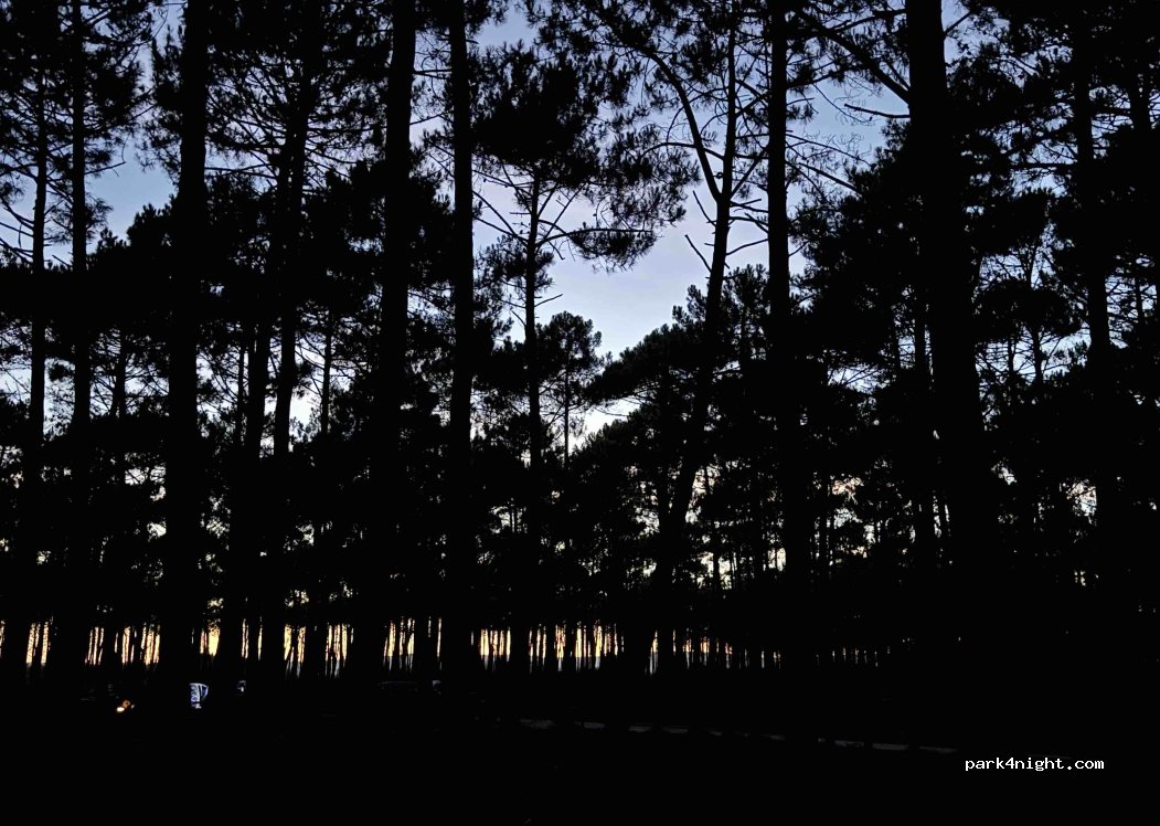 Camping Landes Azur — foto