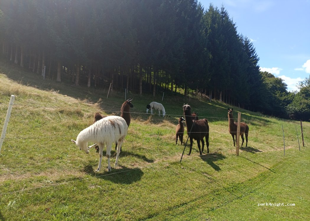 (9580) Villach - Deutschbauerweg — foto 5