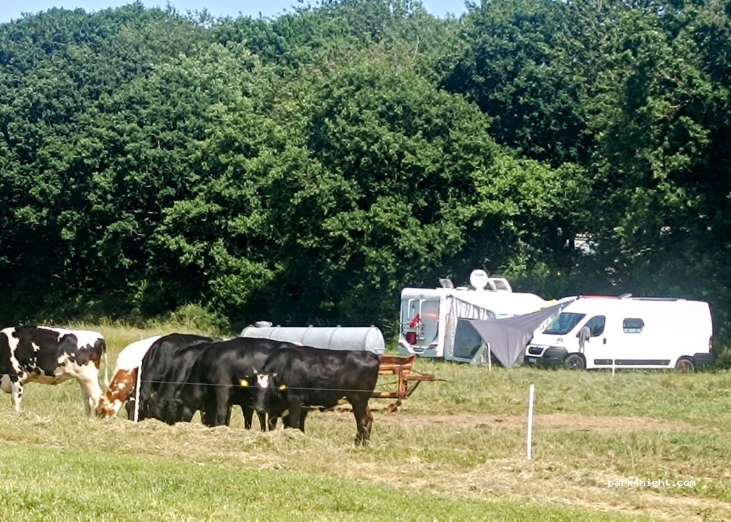 Heidehof in Pomster — foto 5