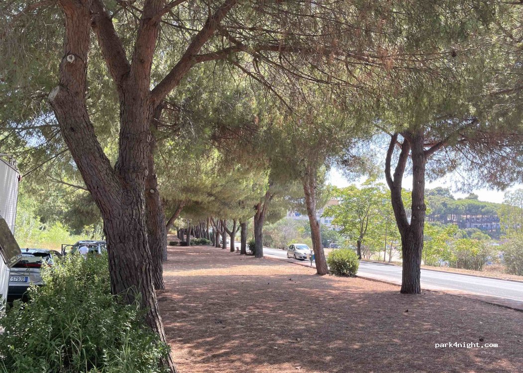 (87023) Diamante - Via Riviera Azzura — foto