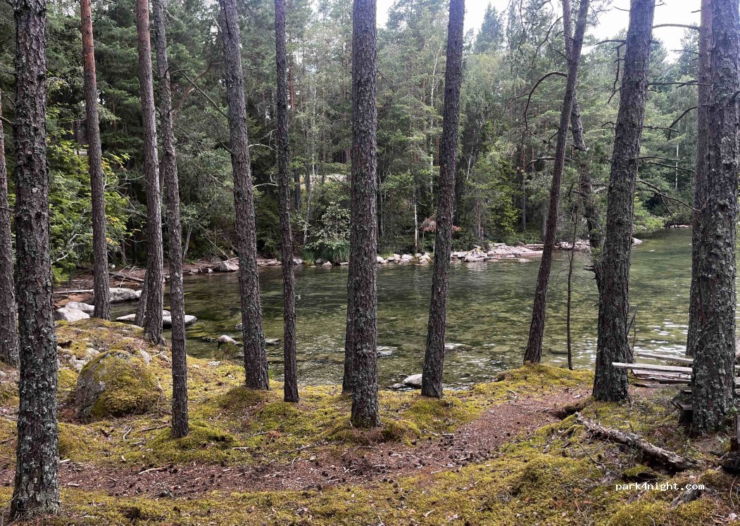 (696 93) Björkenäs - 49 — foto 2