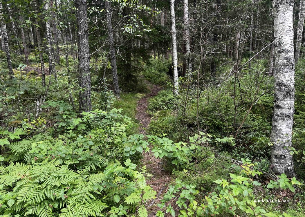 (696 93) Björkenäs - 49 — foto 3