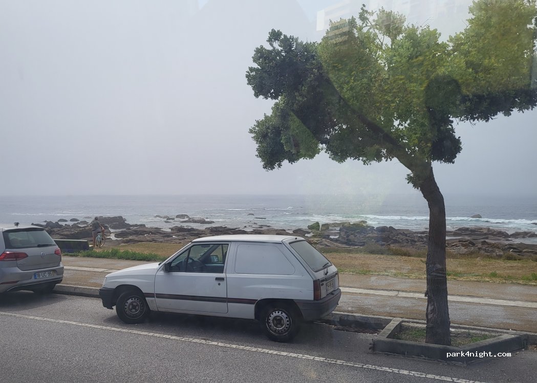 (4910-457) Vila Praia de Âncora - Caminho das Camboas — foto