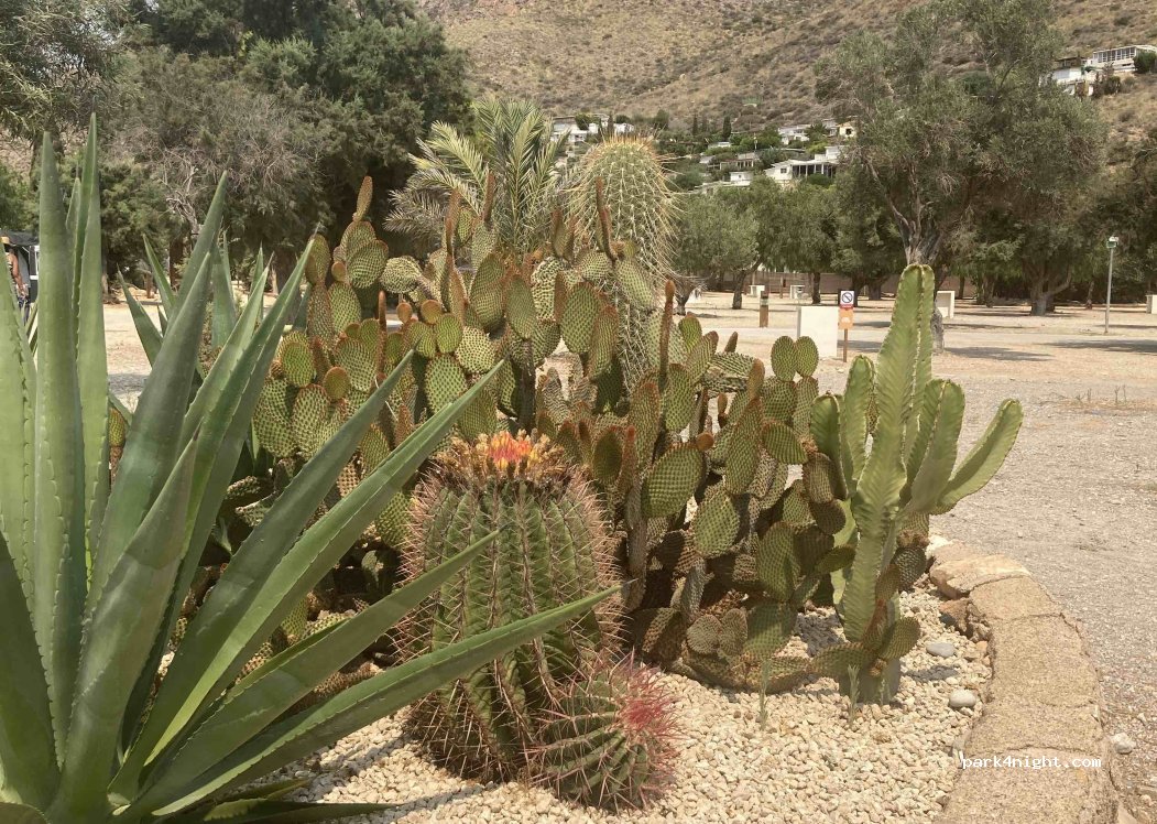 Camping El Portús — foto 4