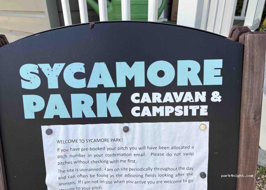 Sycamore Park — foto 2