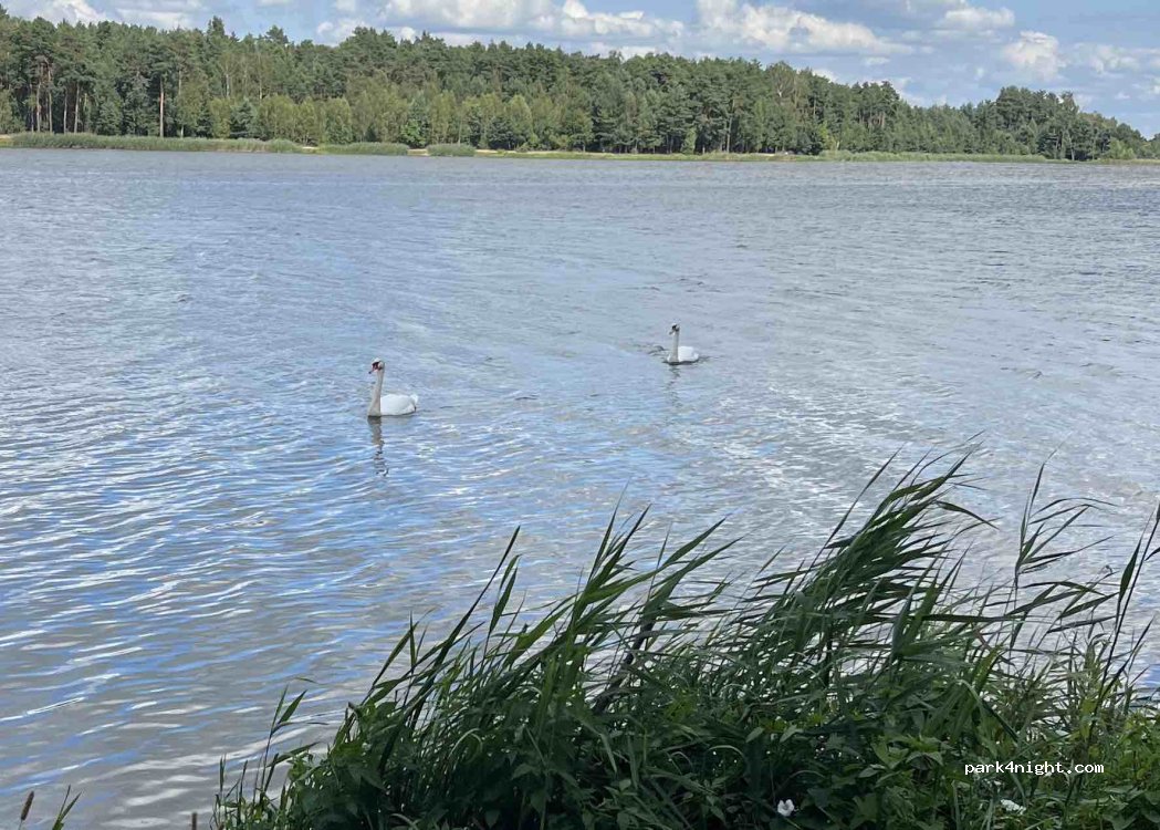 (26-650) Domaniów - — foto