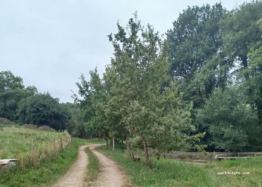 (39530) Santillana del Mar - Unnamed Road — foto 4