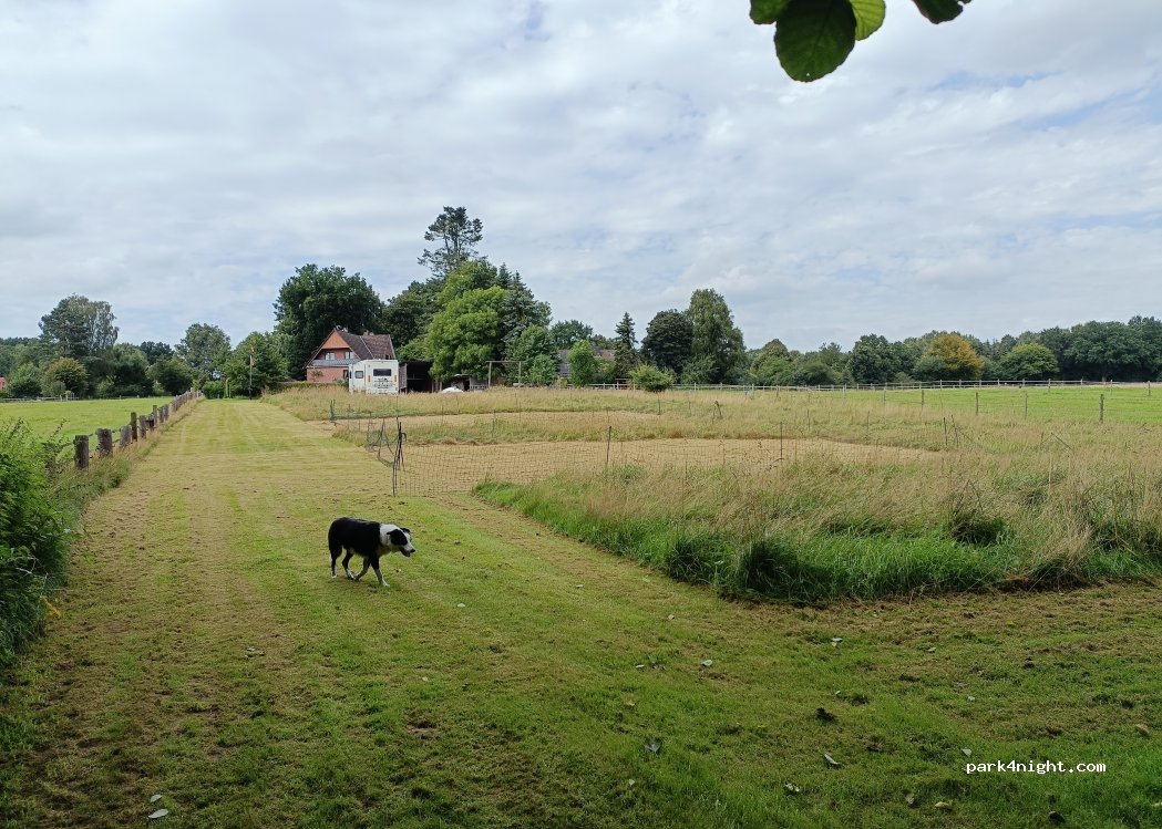 (21649) Regesbostel - Erikaweg — foto 2