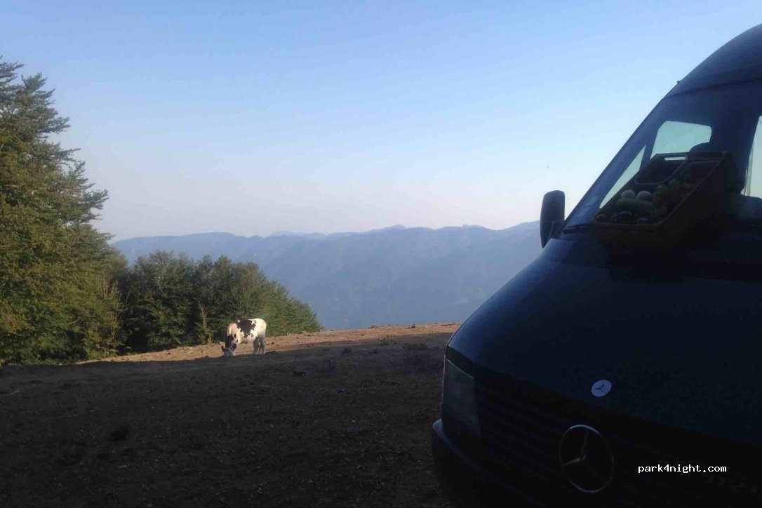(89030) Santa Cristina D'Aspromonte - Unnamed Road — foto 2
