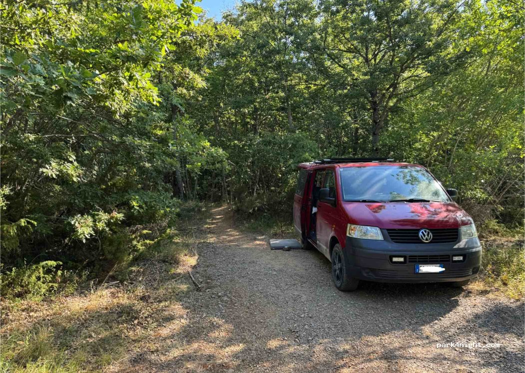 (53042) Chianciano Terme - lupo mannaro — foto 2