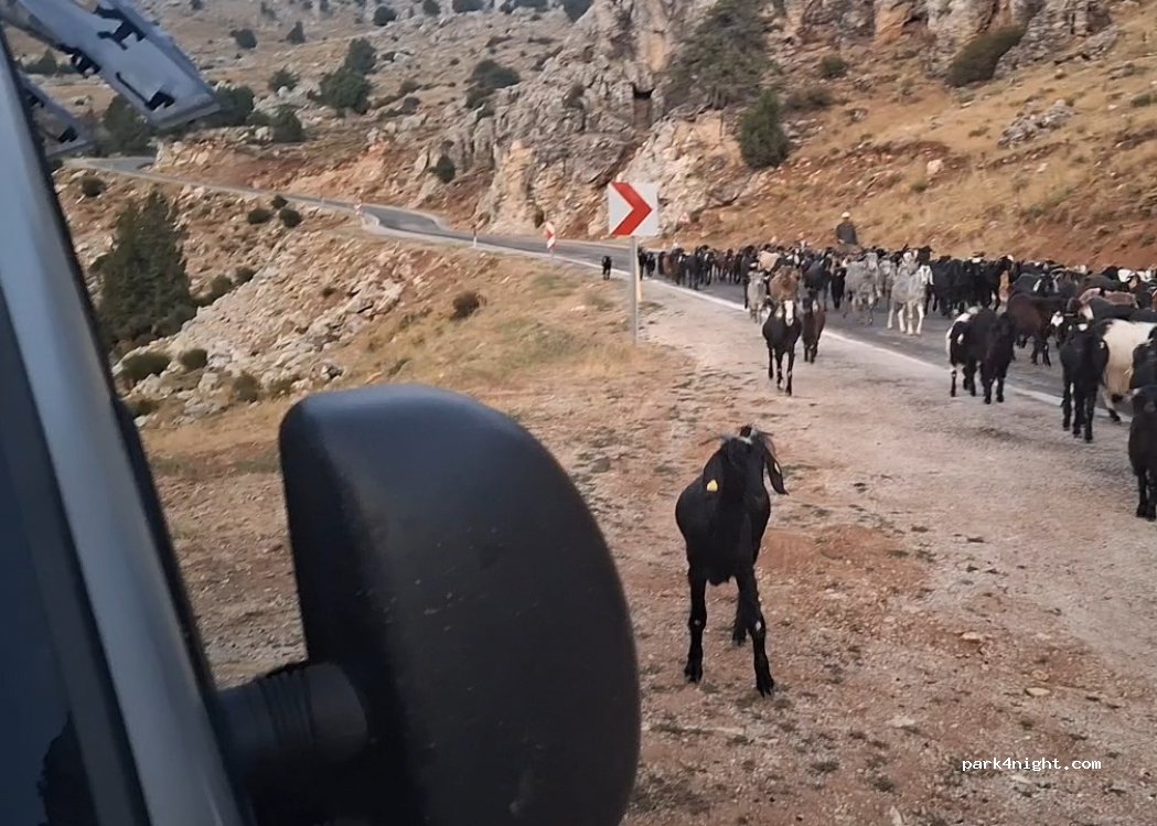 (48860) Seydikemer - Seki - Elmalı Yolu — foto 2