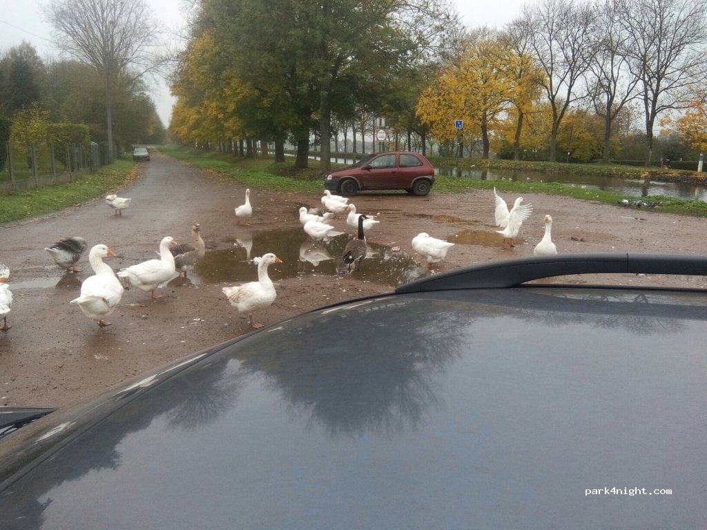 (7070) Le Roeulx - Rue Harmegnies — foto