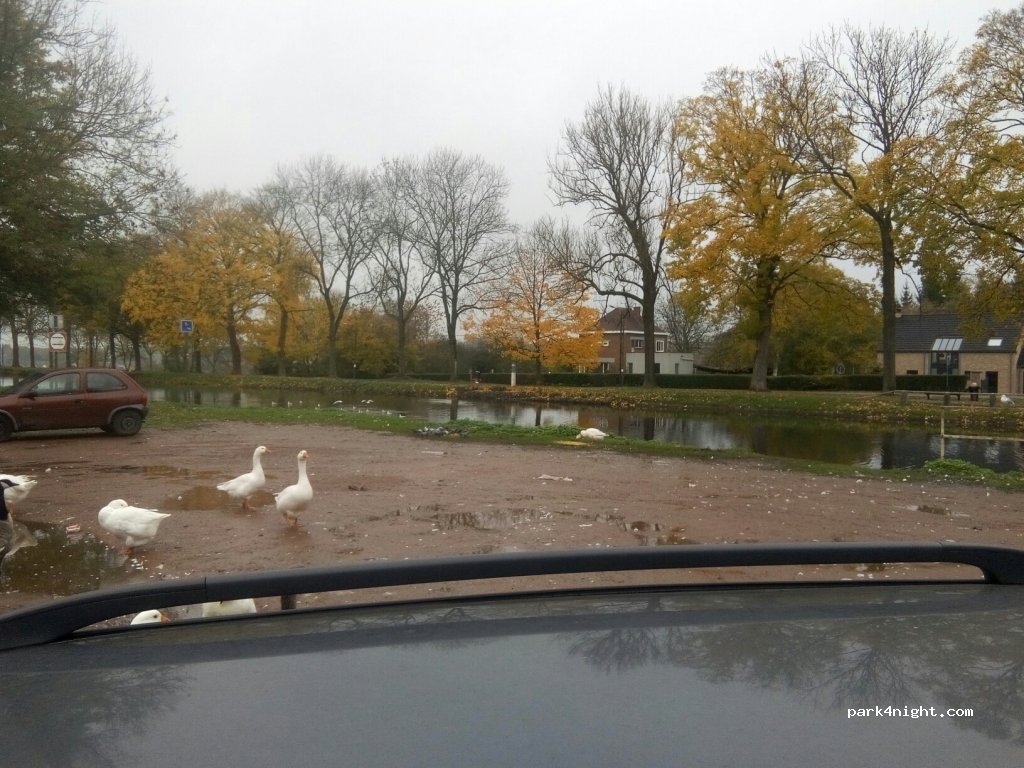 (7070) Le Roeulx - Rue Harmegnies — foto 2