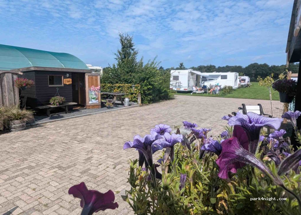 (8147RJ) Ommen - Hogeveldsweg — foto 3