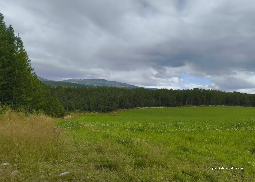 (2540) Tolga - Hodalsveien — foto