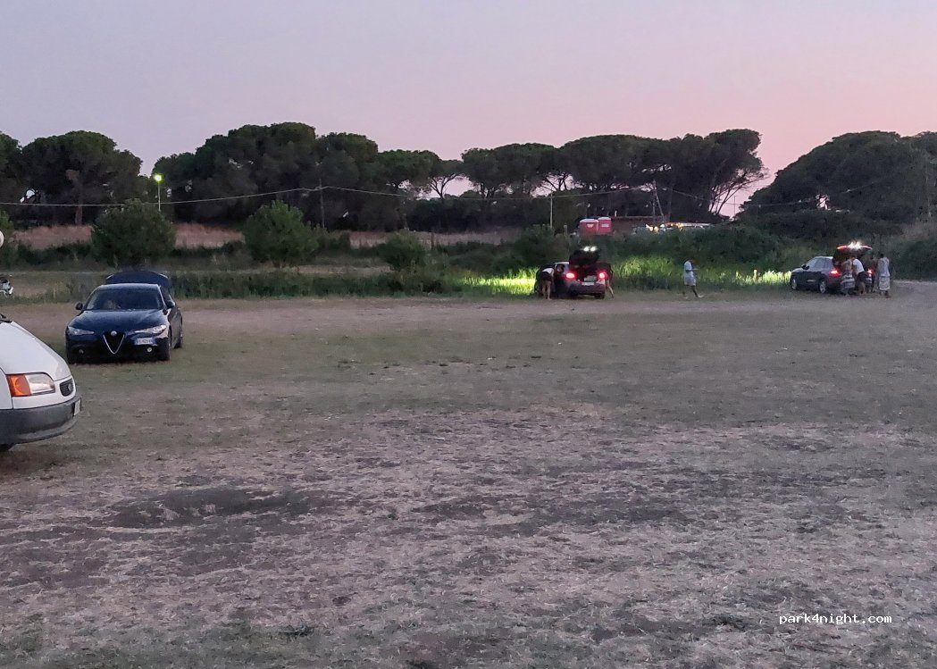 (01014) Montalto di Castro - Località le Gratticciare — foto
