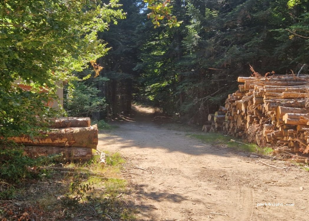 (07510) Usclades-et-Rieutord - D 536 — foto 2