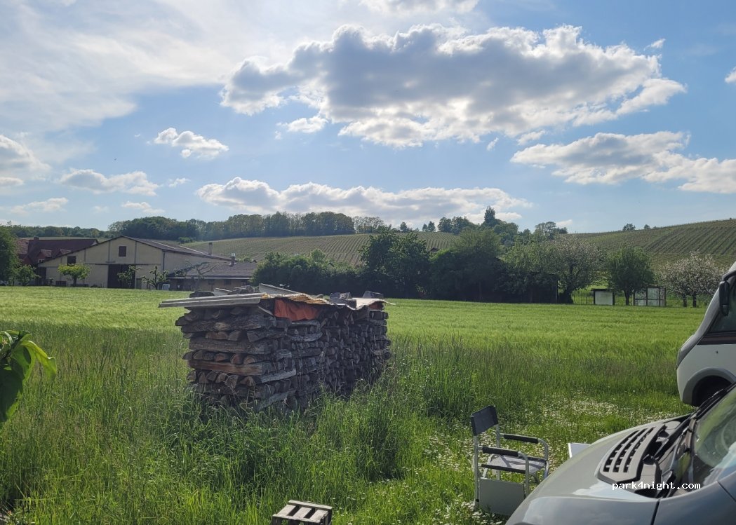 Weingut Bernard — foto 3