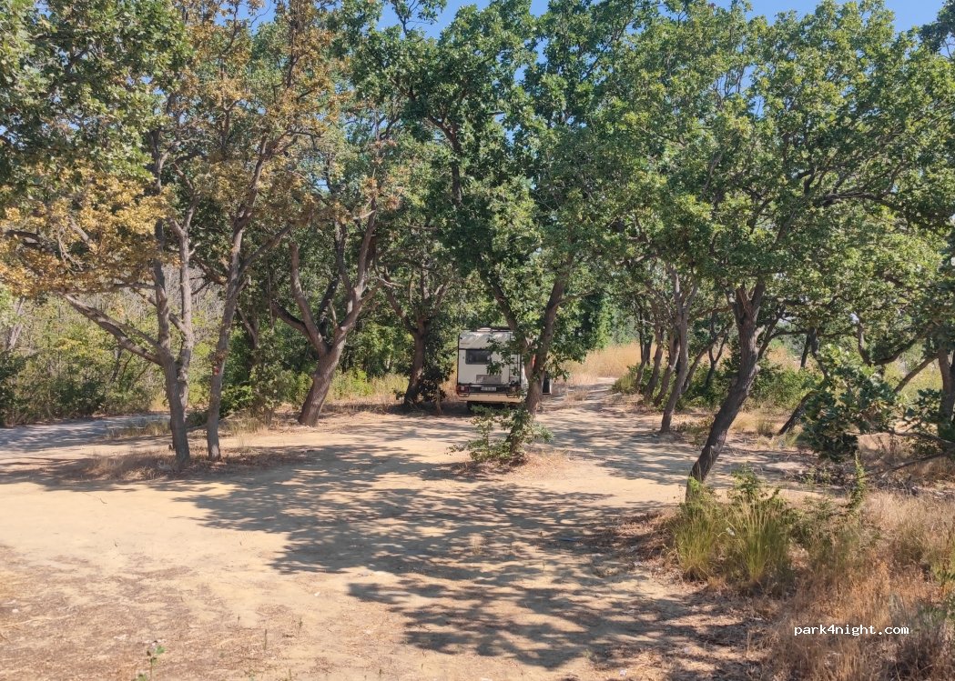 (9007) Golden Sands - Unnamed Road — foto