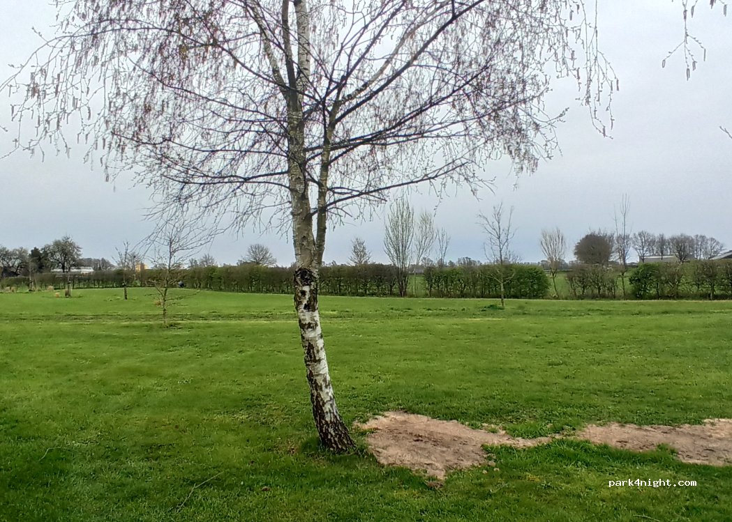 Landschapscamping 't Lentinck — foto 4