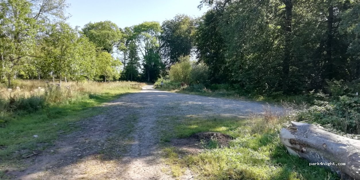 (76680) Rosay - Chemin de la Chapelle — foto