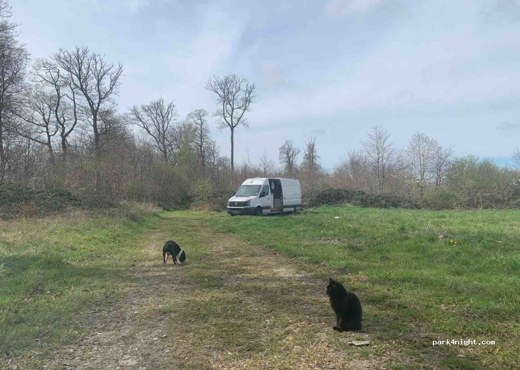 (76680) Rosay - Chemin de la Chapelle — foto 2