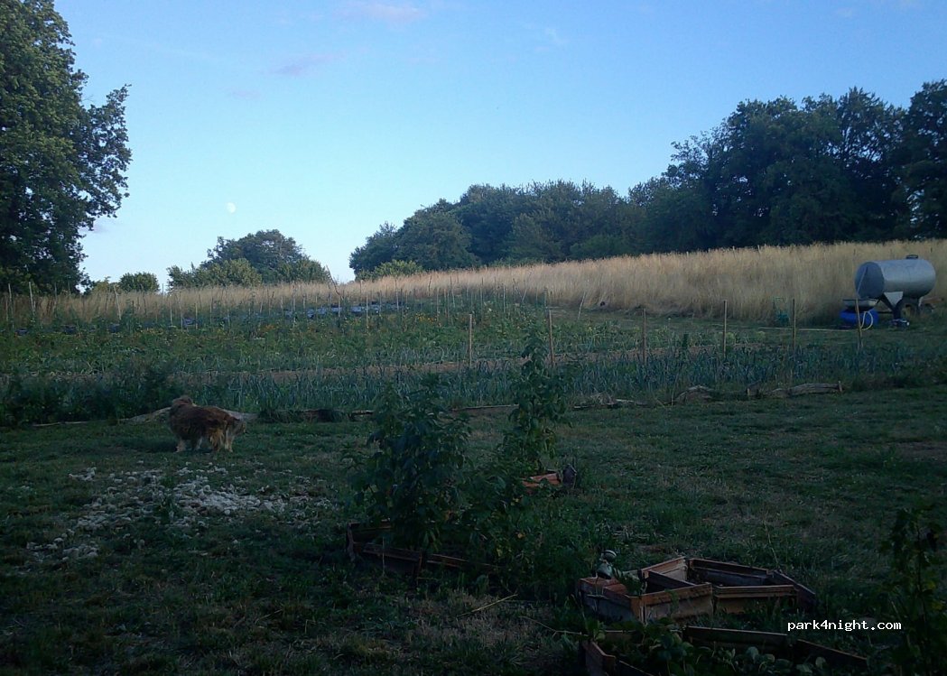 (12440) La Salvetat-Peyralès - D 905a — foto 3