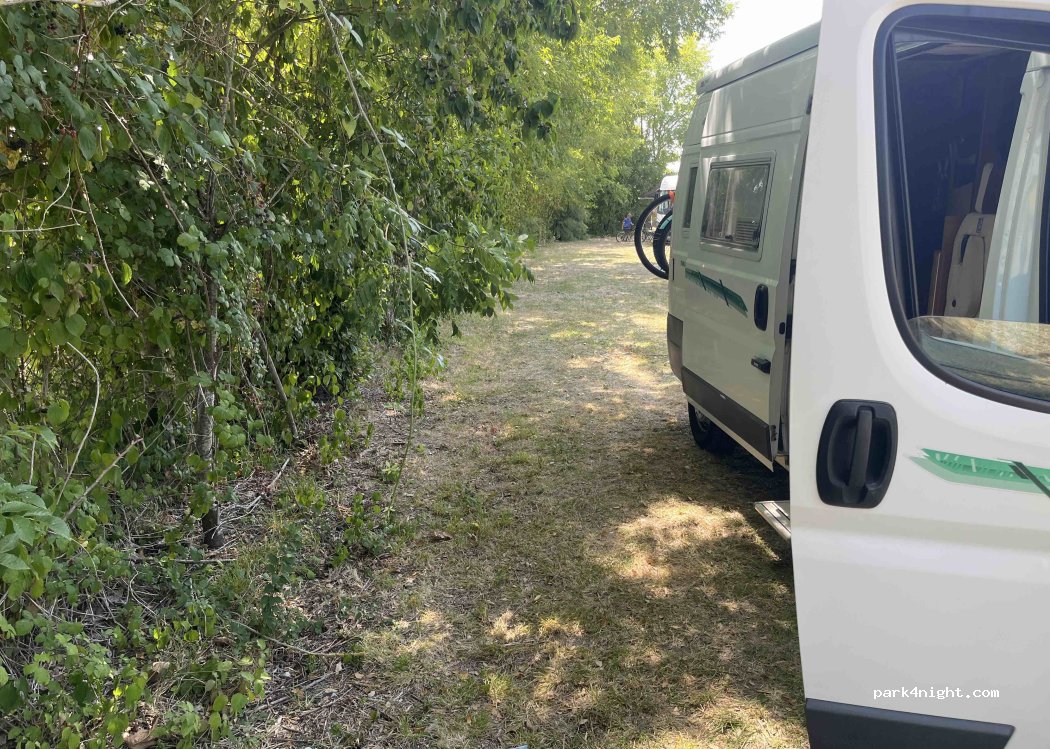 (17132) Meschers-sur-Gironde - Route des Salines — foto